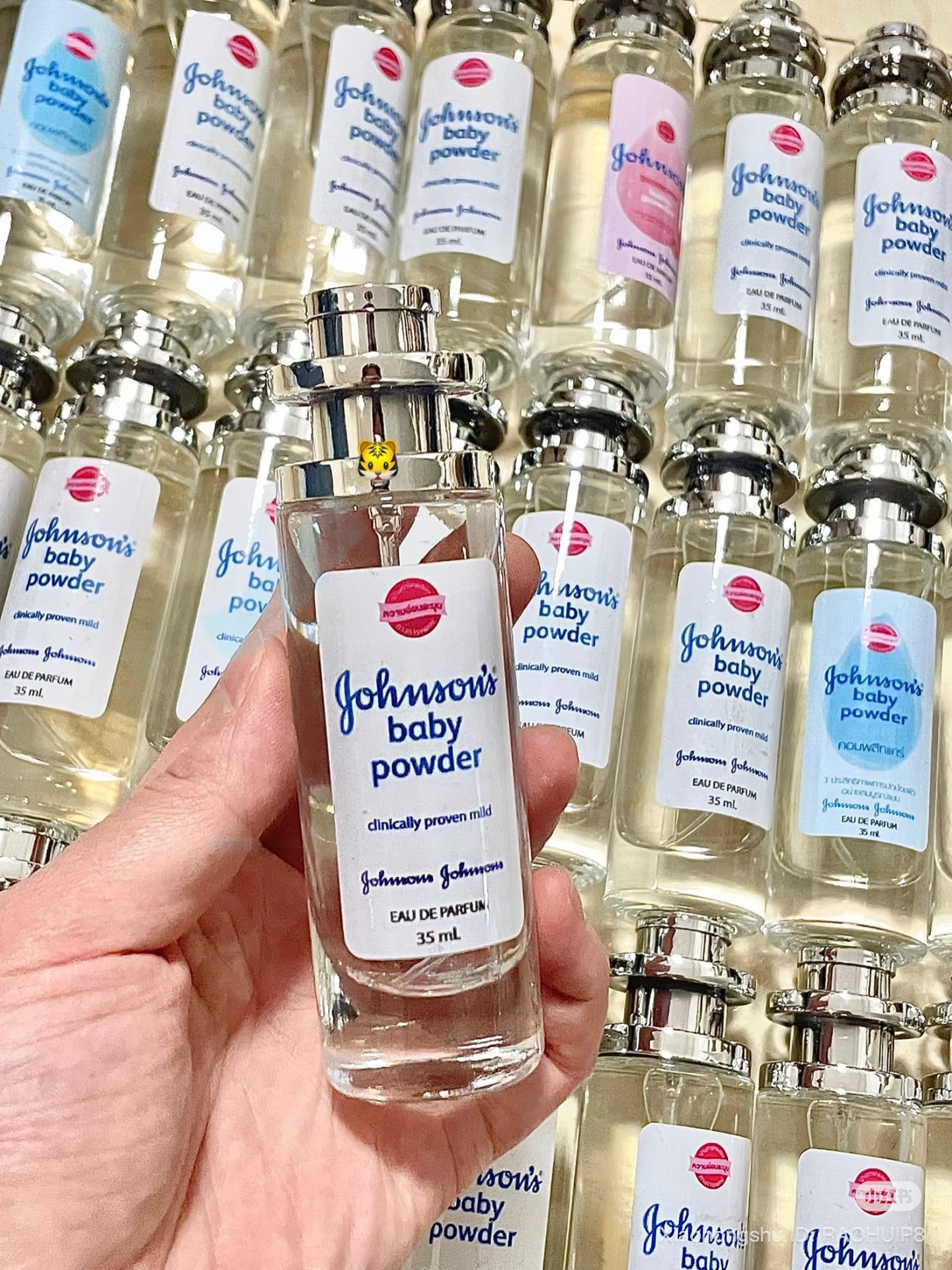 image_C7C86B45-A991-435A-A535-93D6A7F8B073_1754653112