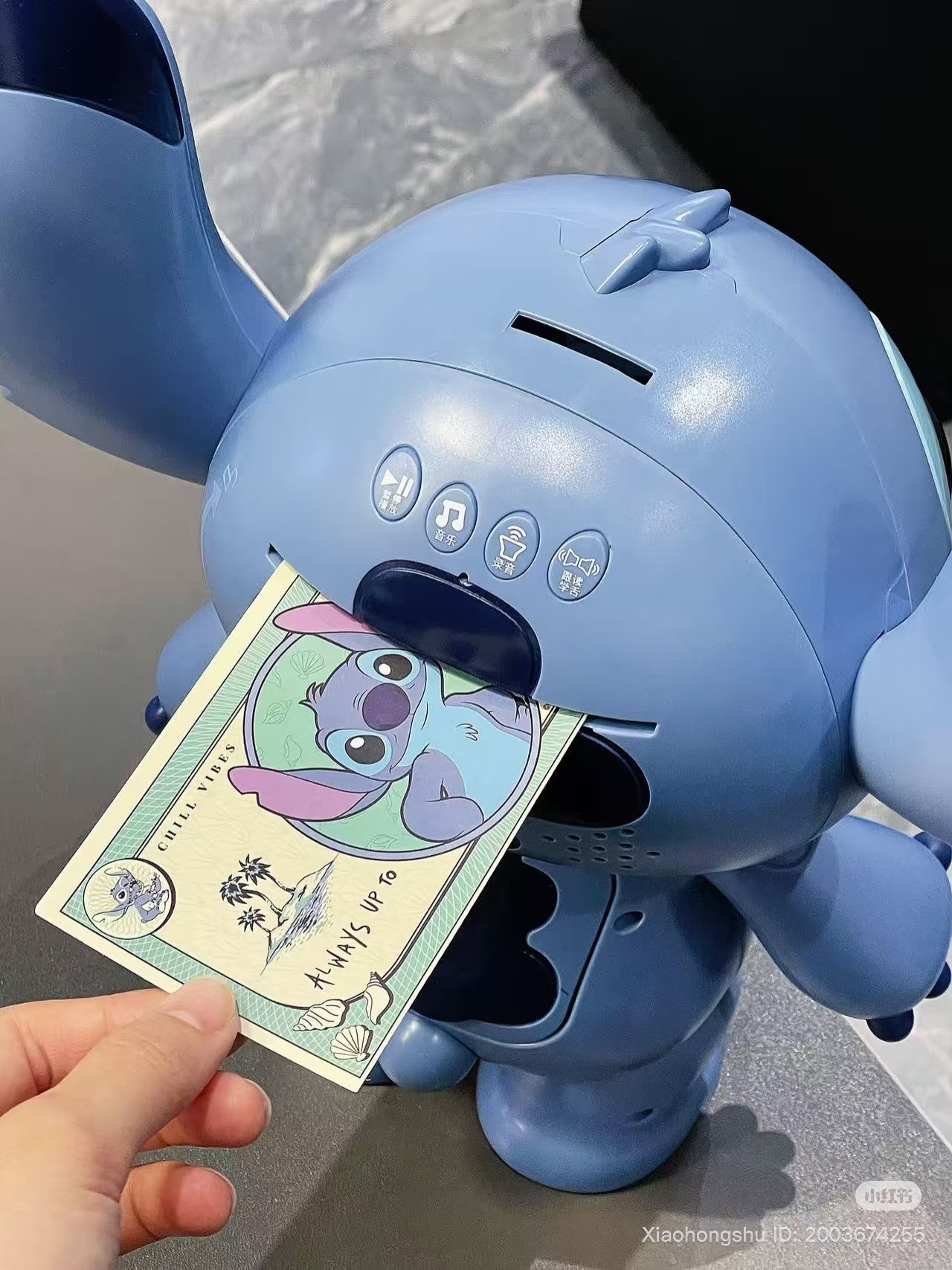 image_303E1A4F-2B46-437A-B1CB-01D08CD6BFC5_1754828582