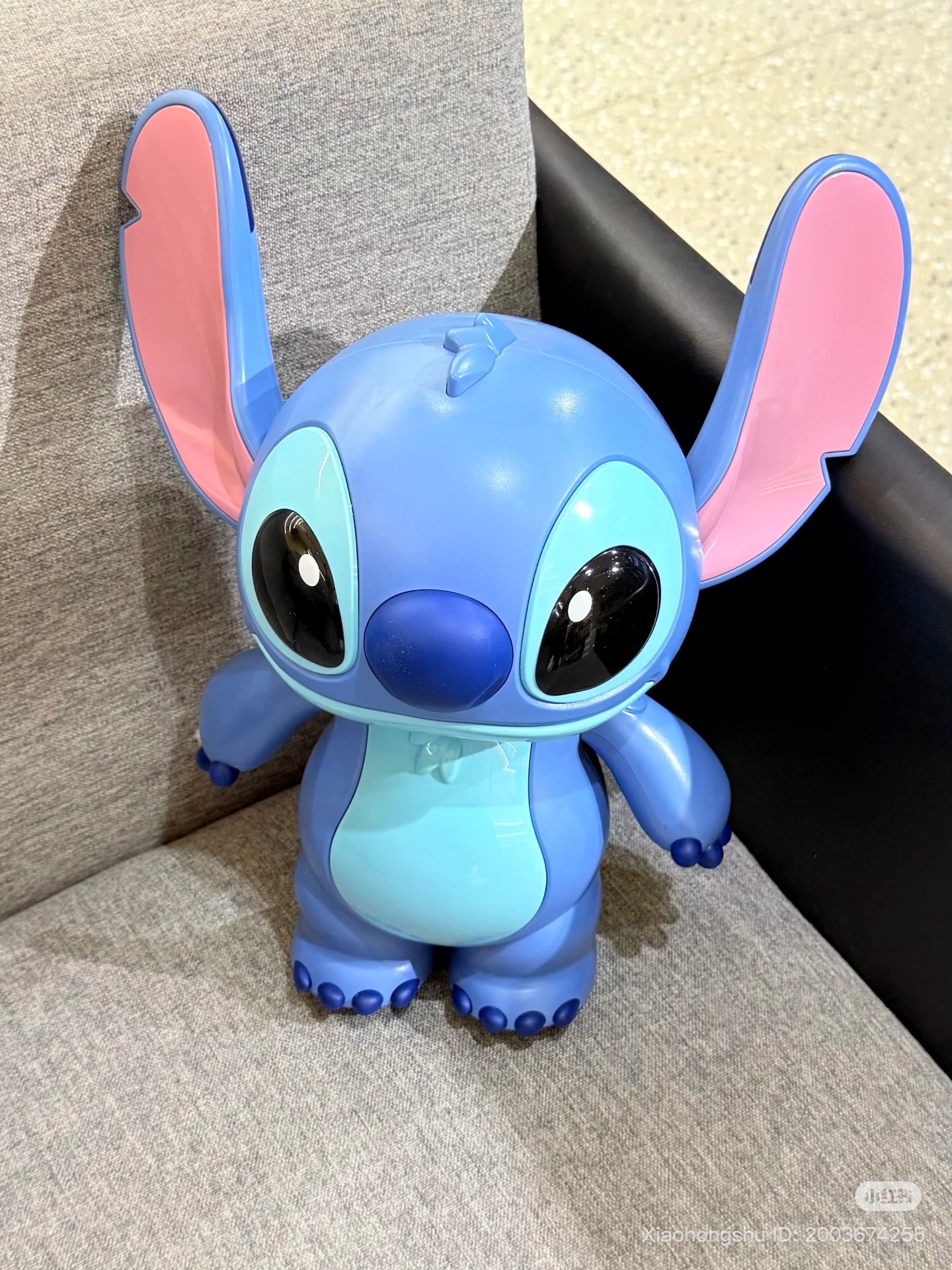 image_C62833DD-1354-429A-82B0-AFB55B699C63_1754828582