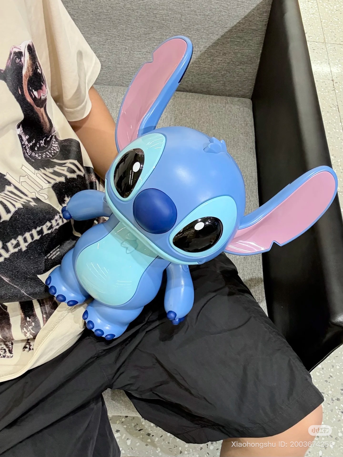 image_249E4C74-3232-43AB-81D5-57B03F85BD05_1754828582