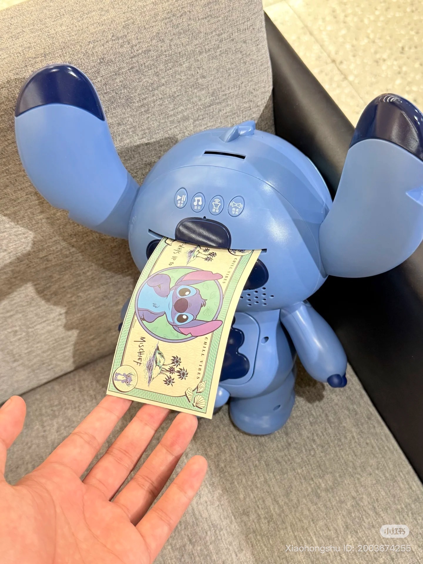 image_32CAE719-1C4C-433C-81D7-EF52F9ACC2C8_1754828582