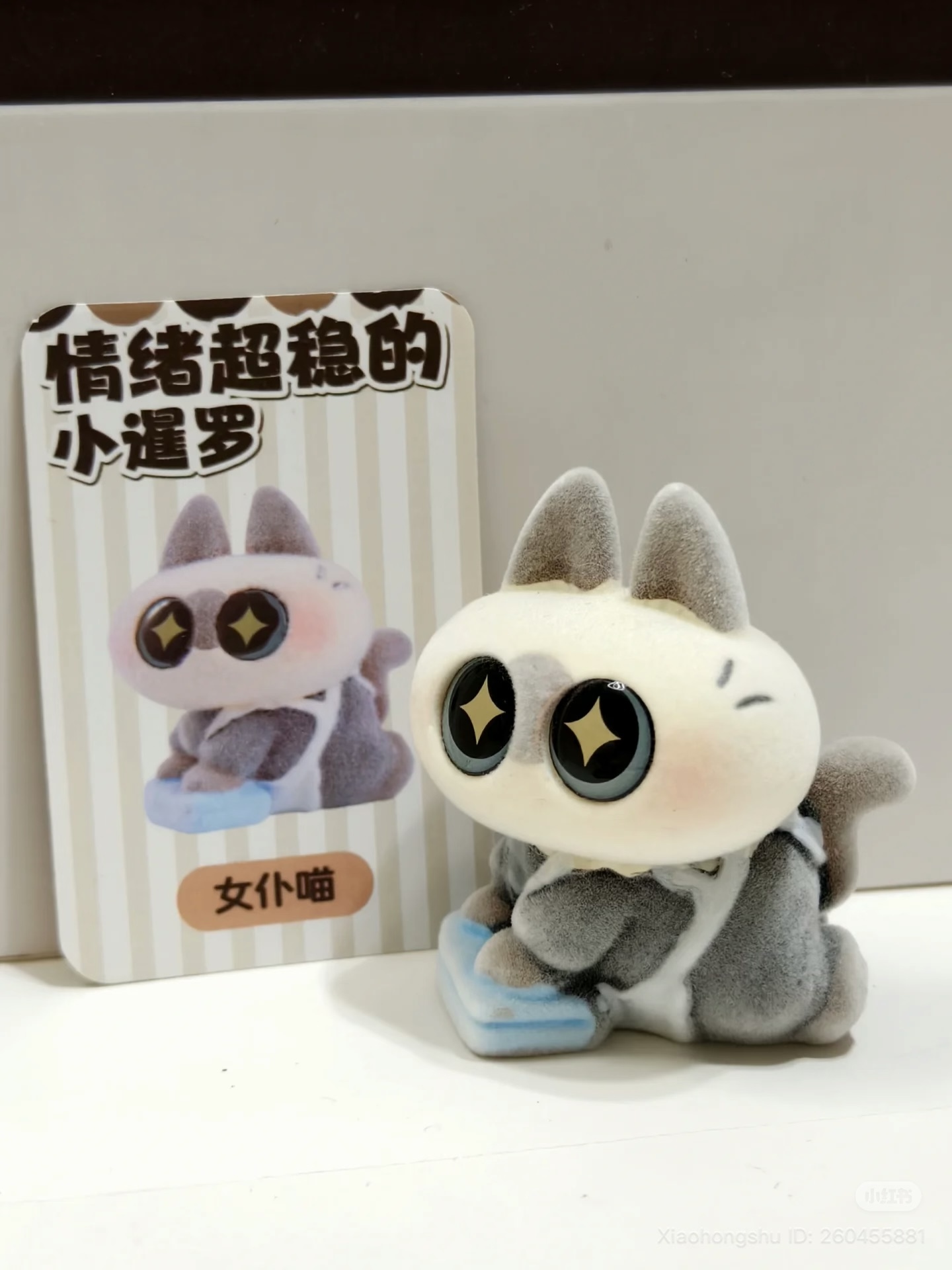 image_8C2E636C-28E5-4359-8017-1A1DDA12FB22_1754995802