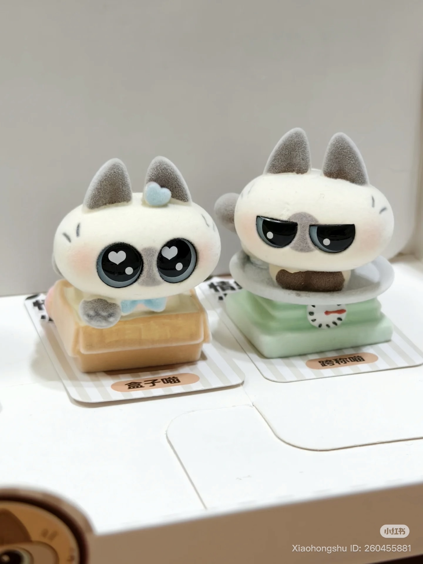 image_DB7281F9-DC3C-468C-A3ED-1858DA6C8CDD_1754995802