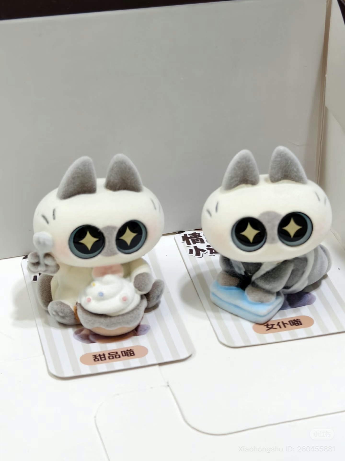 image_FF45A832-2889-4CAC-A4DB-4F907240153D_1754995802