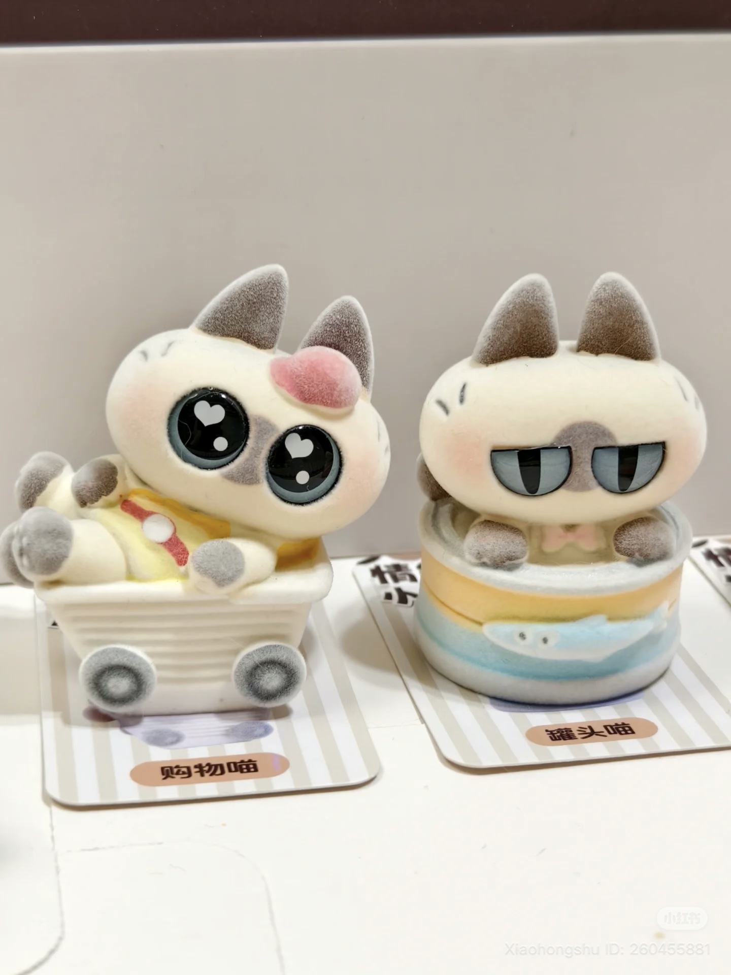 image_234A2A16-8C4C-40EC-ABAD-637CE72FCF46_1754995802