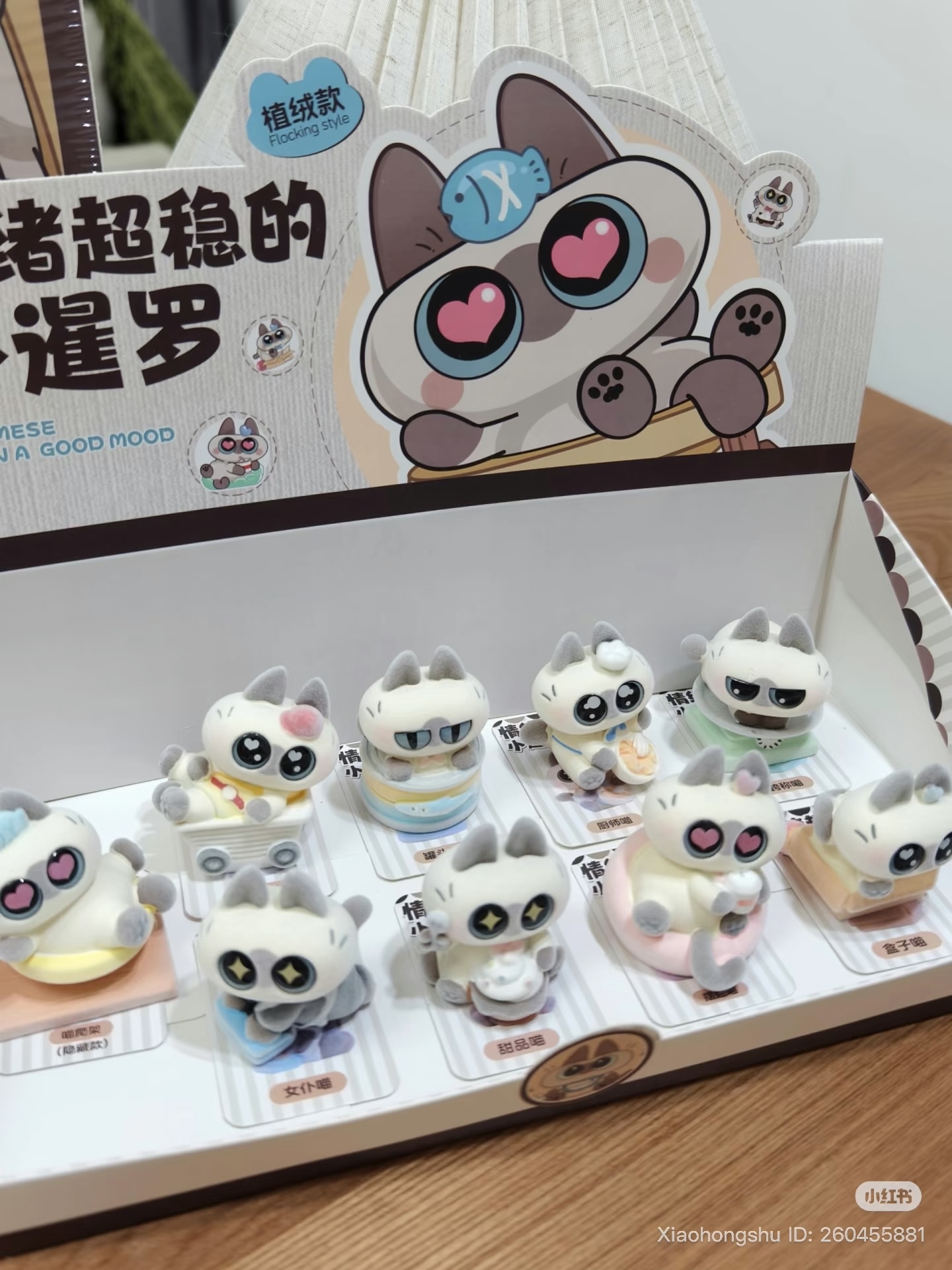 image_E6AC49DE-2BCC-4F6A-9848-DCC7A904B97F_1754995802