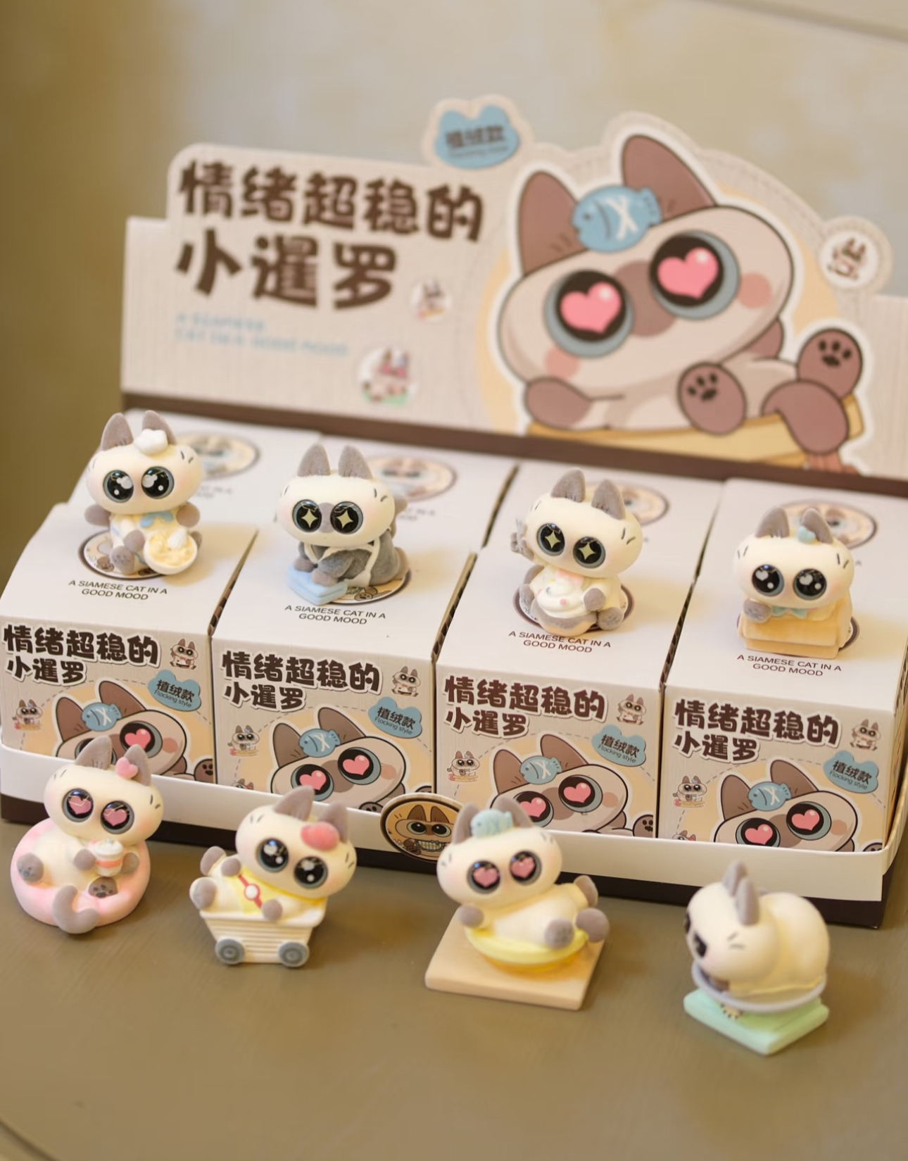 image_913F22BE-BC2C-4762-9089-56489C0A3AFB_1754995802