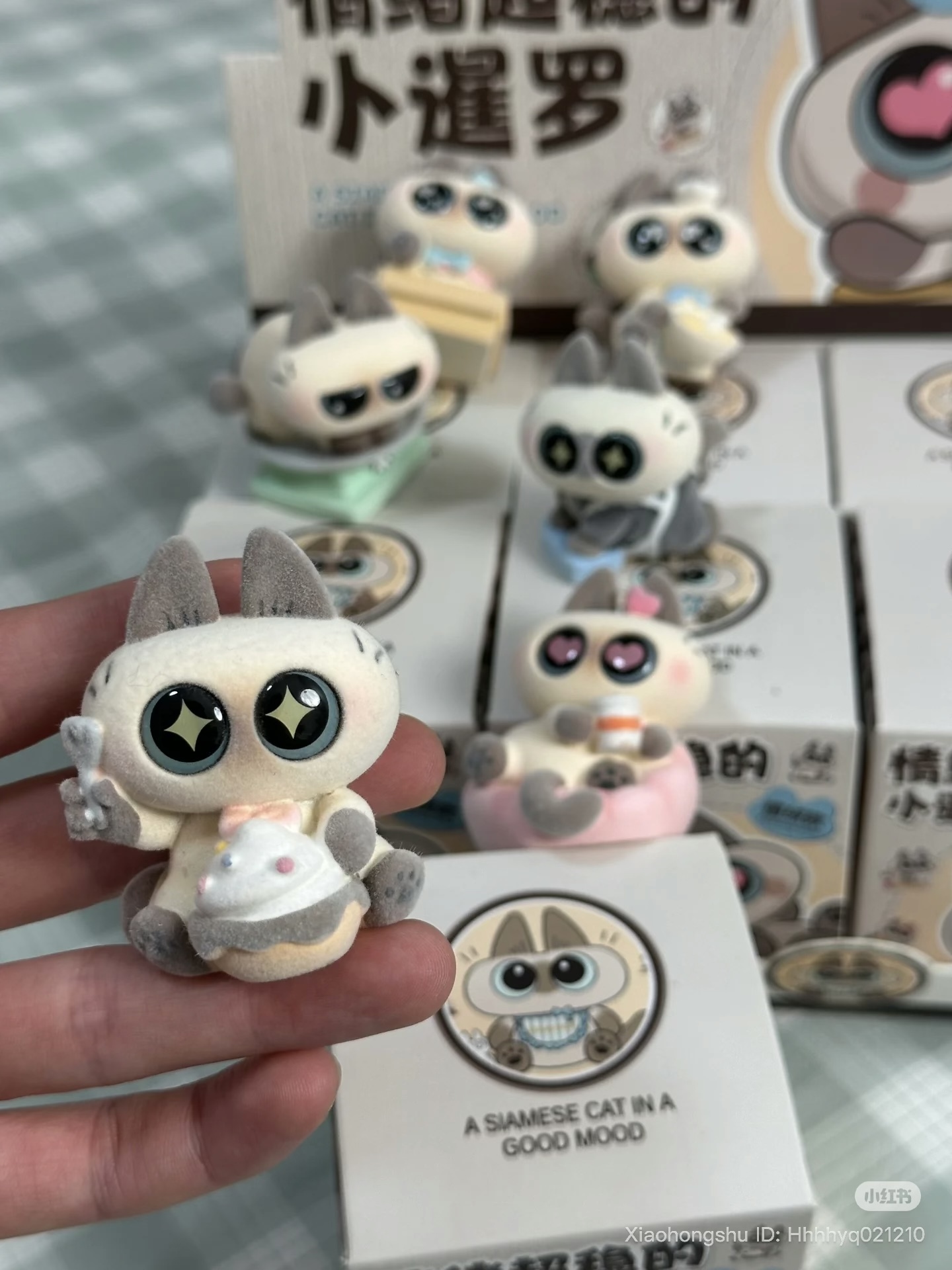 image_395ACA84-E84F-4525-AB04-63A2CFC044D3_1754995802