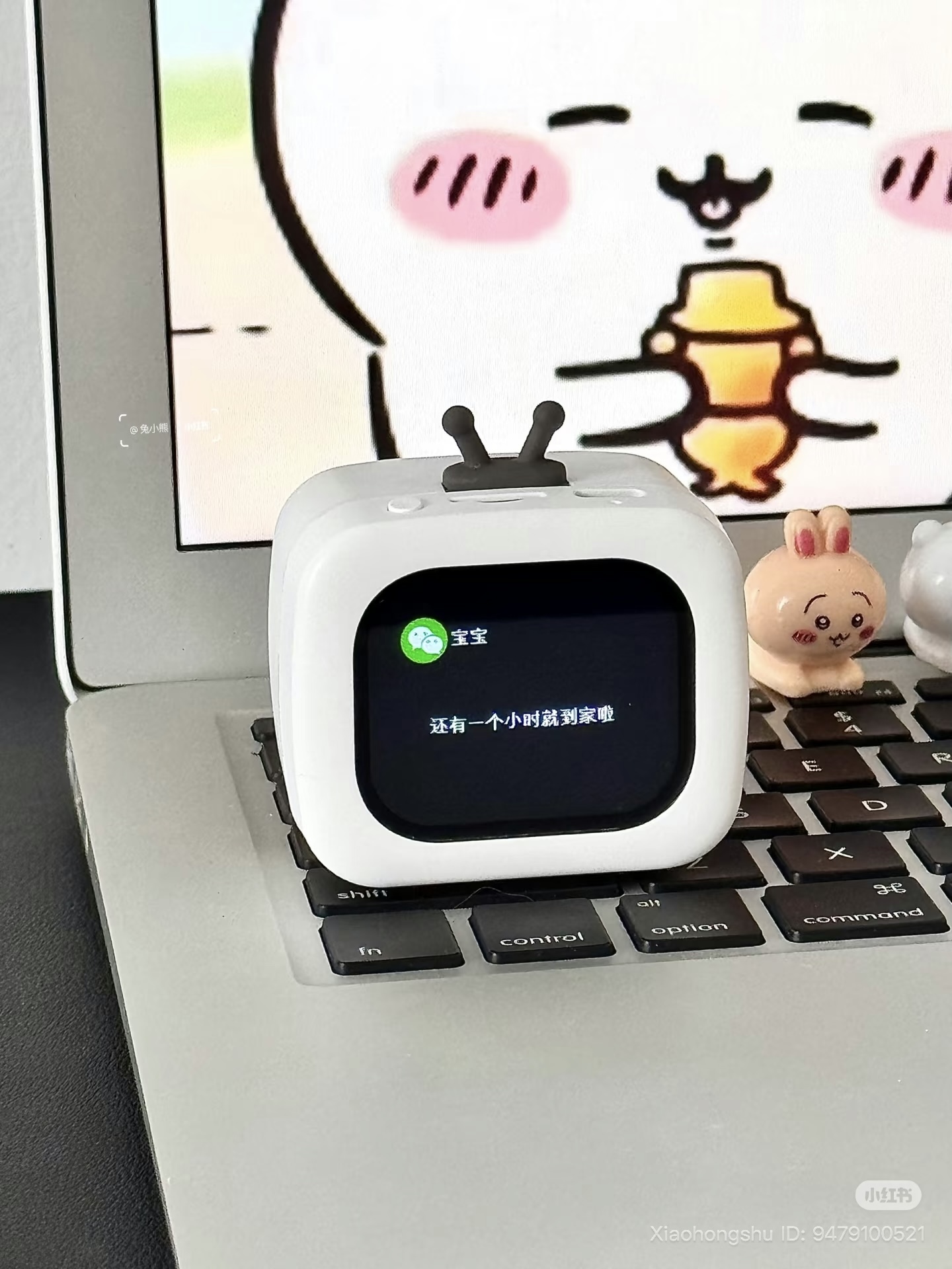 image_ED80068C-C936-4CF6-A44F-8C00D12357EF_1755253314