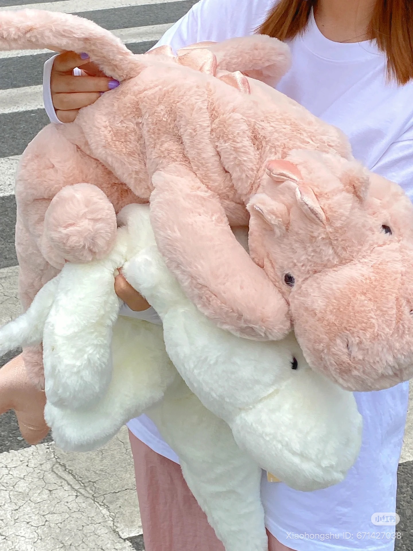 image_DA5451C6-E4D2-45DF-A635-BEC8B7B39565_1755437911