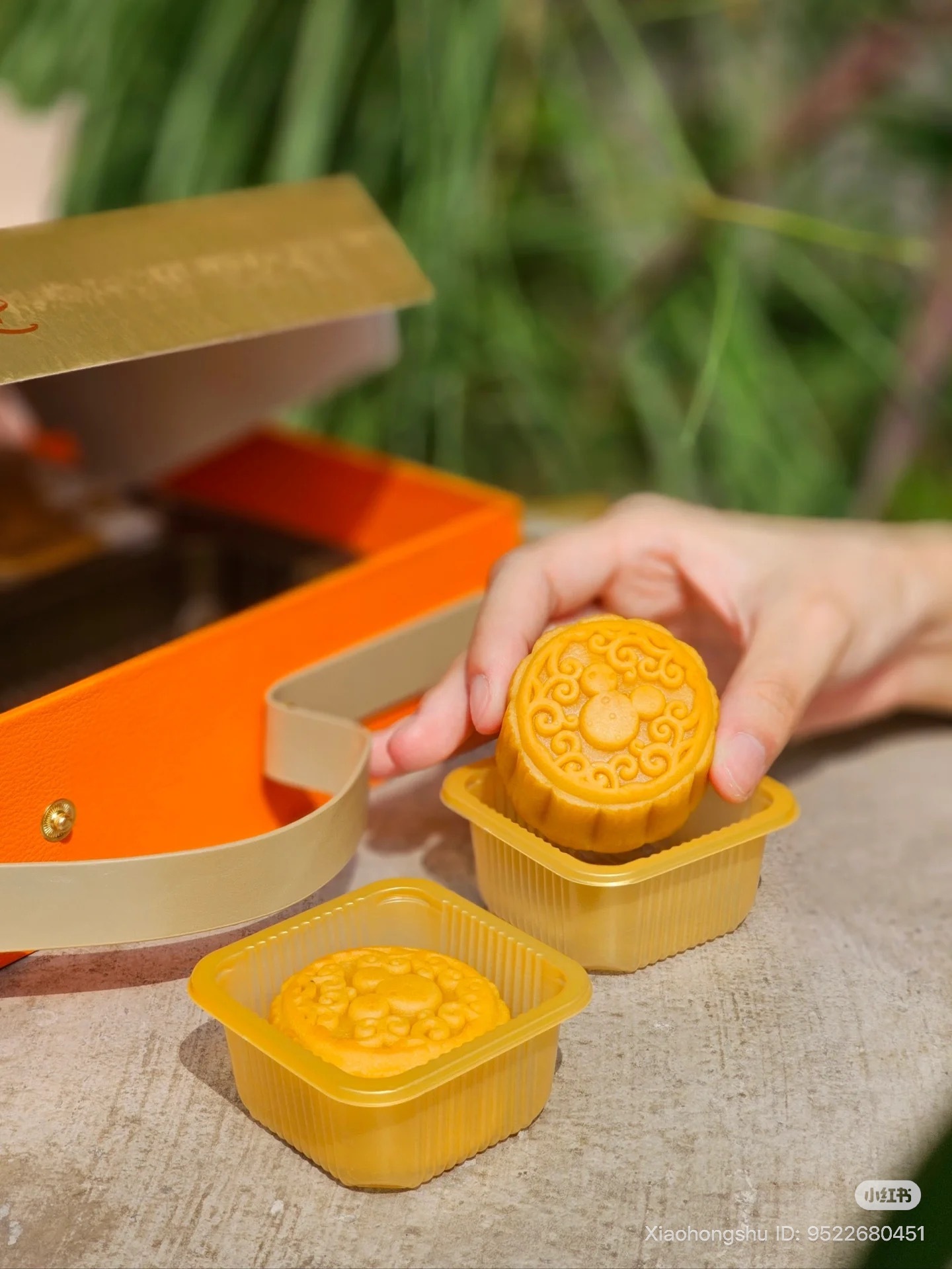 image_06CD46B7-0F86-4089-878F-398C5213F3E7_1755607233