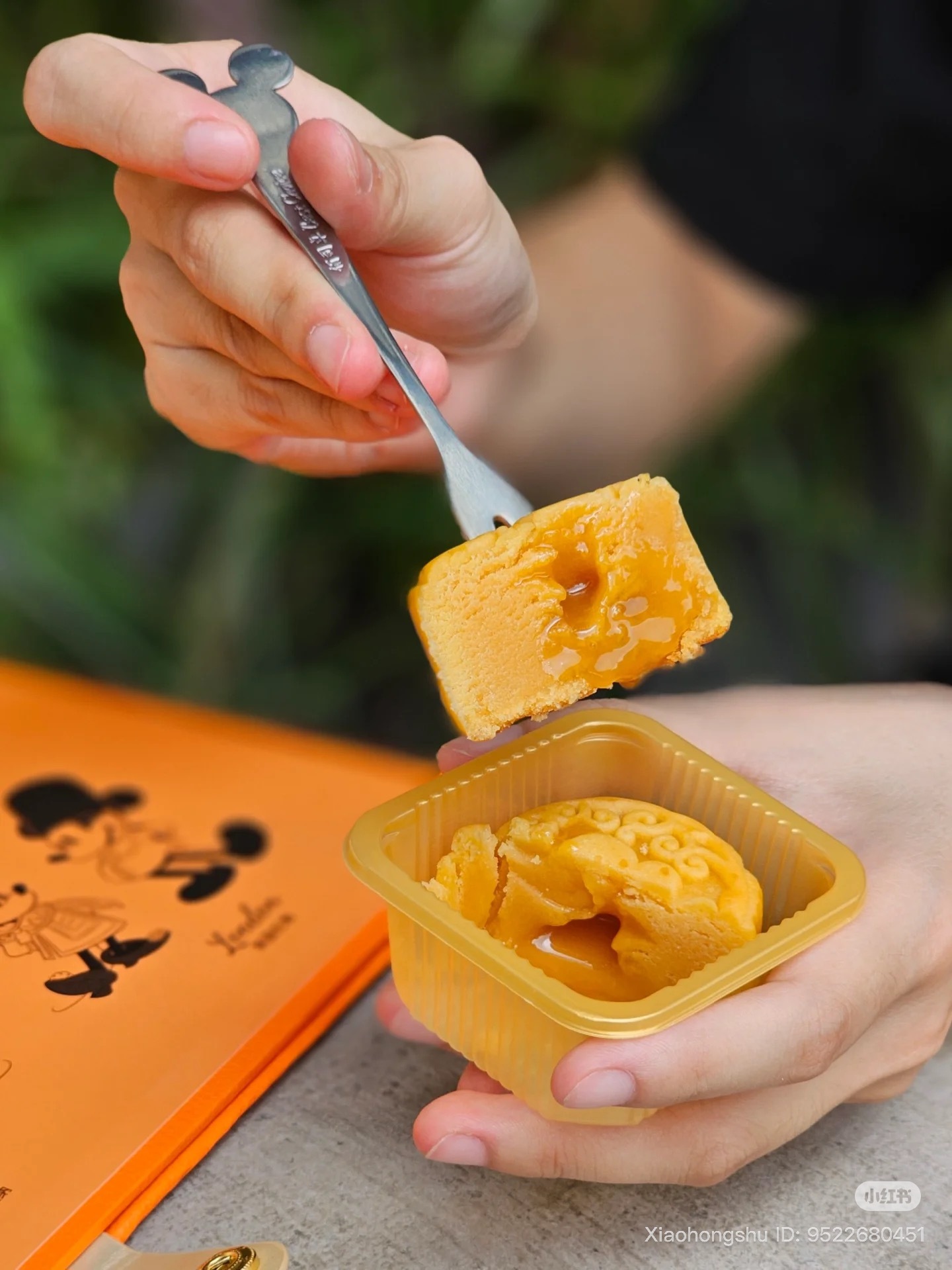 image_35C4D169-DE9A-4796-8AAE-B3B8700DC42F_1755607233