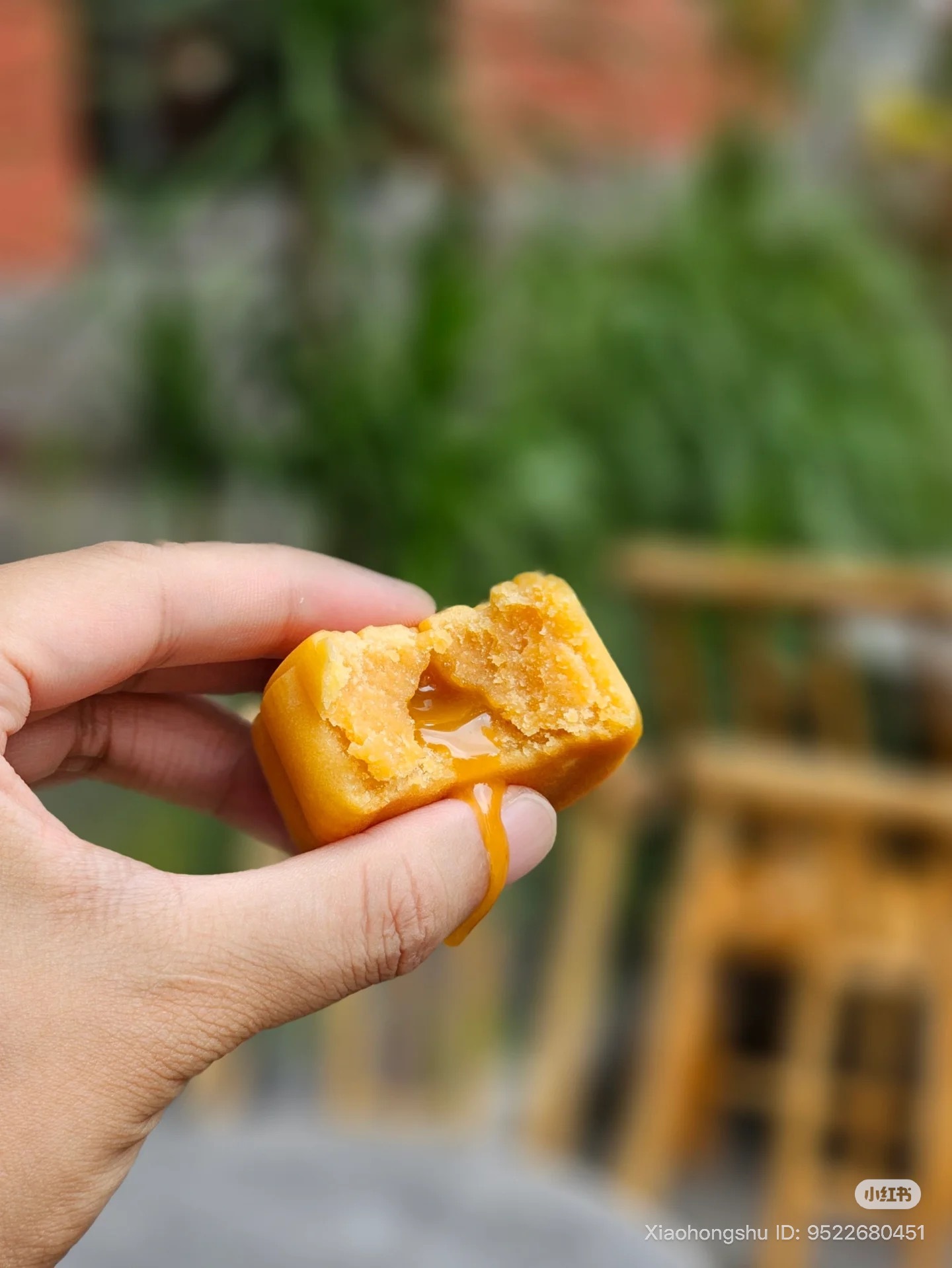 image_61430FF0-0304-4E3E-B982-2005B810C712_1755607233