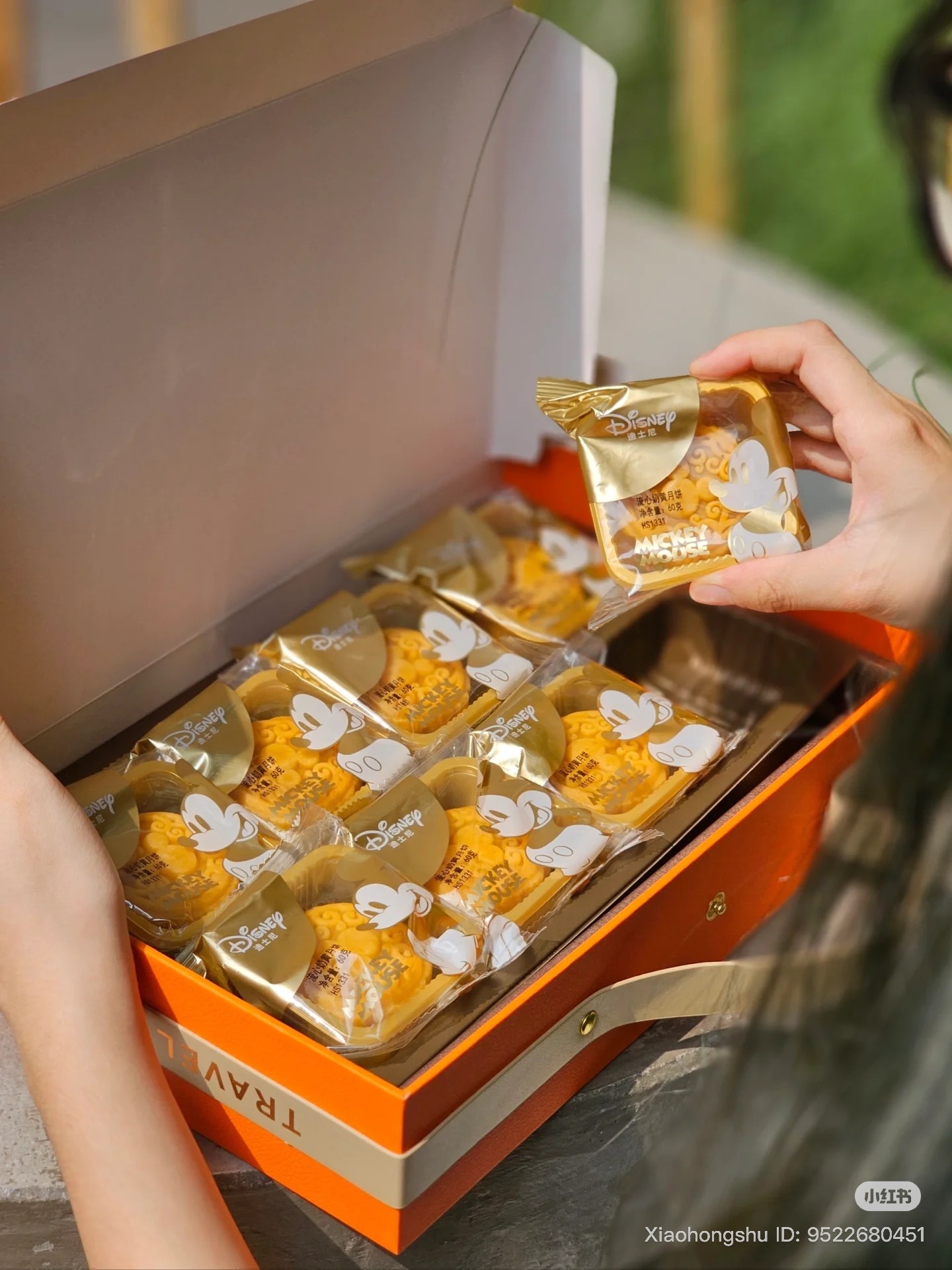 image_7BDF12B2-3684-4CCC-B3B0-9AB6FD79BF6D_1755607233