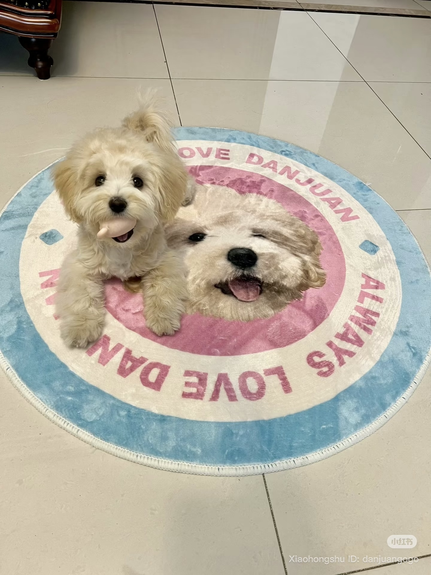 image_376ED9A3-06B2-40AD-9406-C3819C661885_1755609469