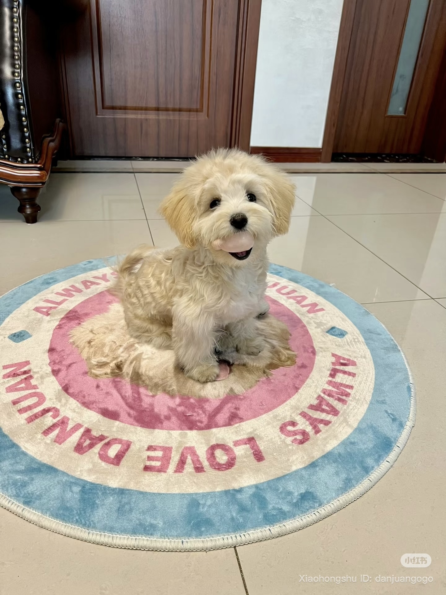 image_01731BD2-FF4B-4761-9388-E824B2F2EAA0_1755609469