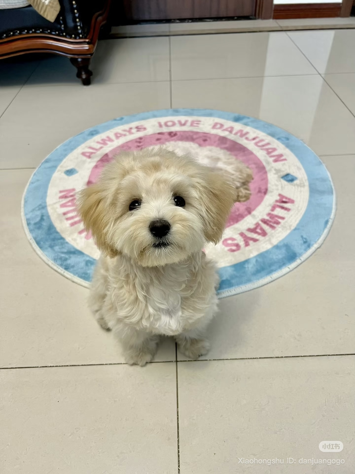 image_D7AC7275-A38E-4D24-9BA8-426F887F4C81_1755609469