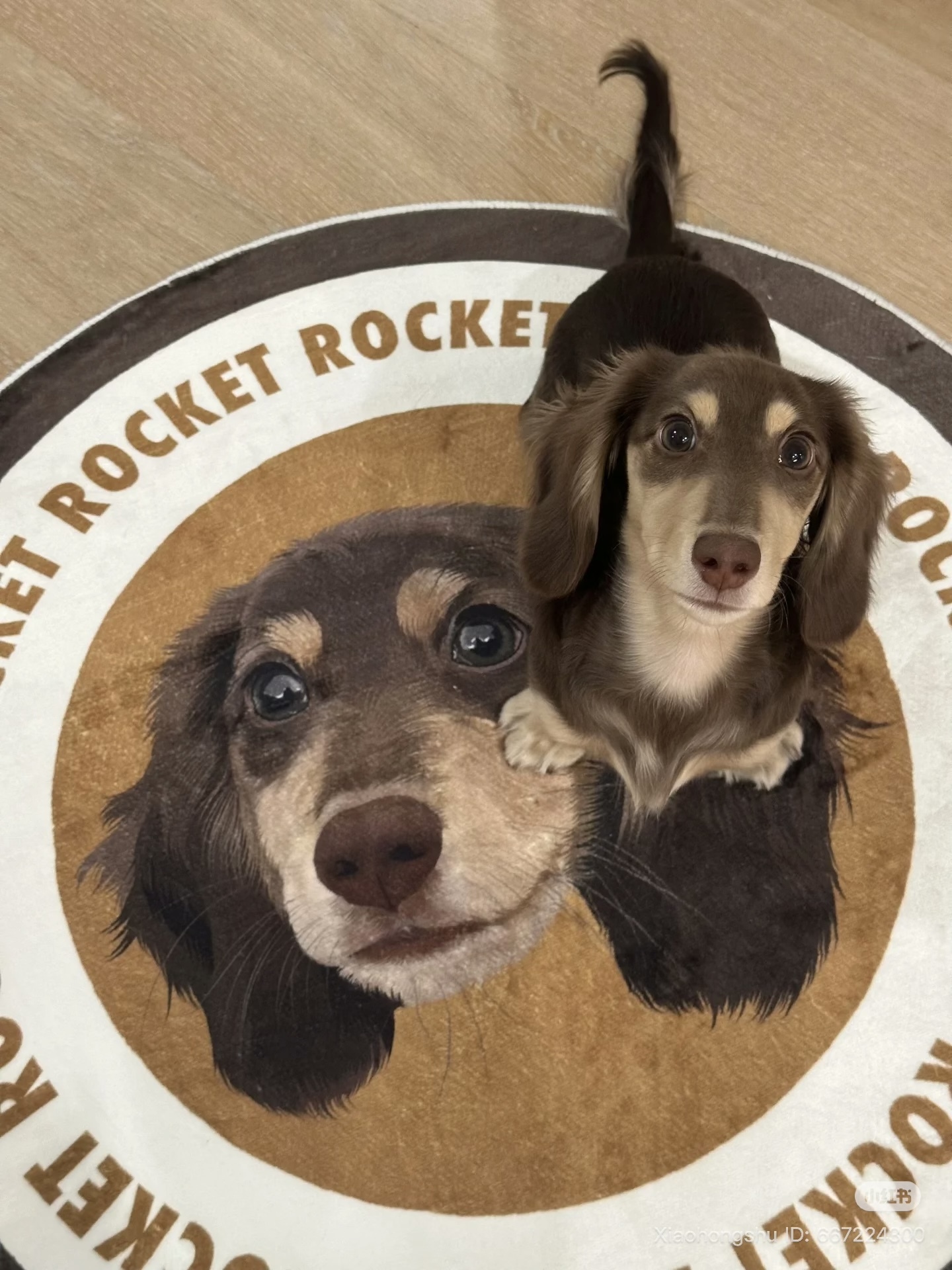 image_059141D5-EFC6-4F60-A160-D99503AF79FE_1755609469