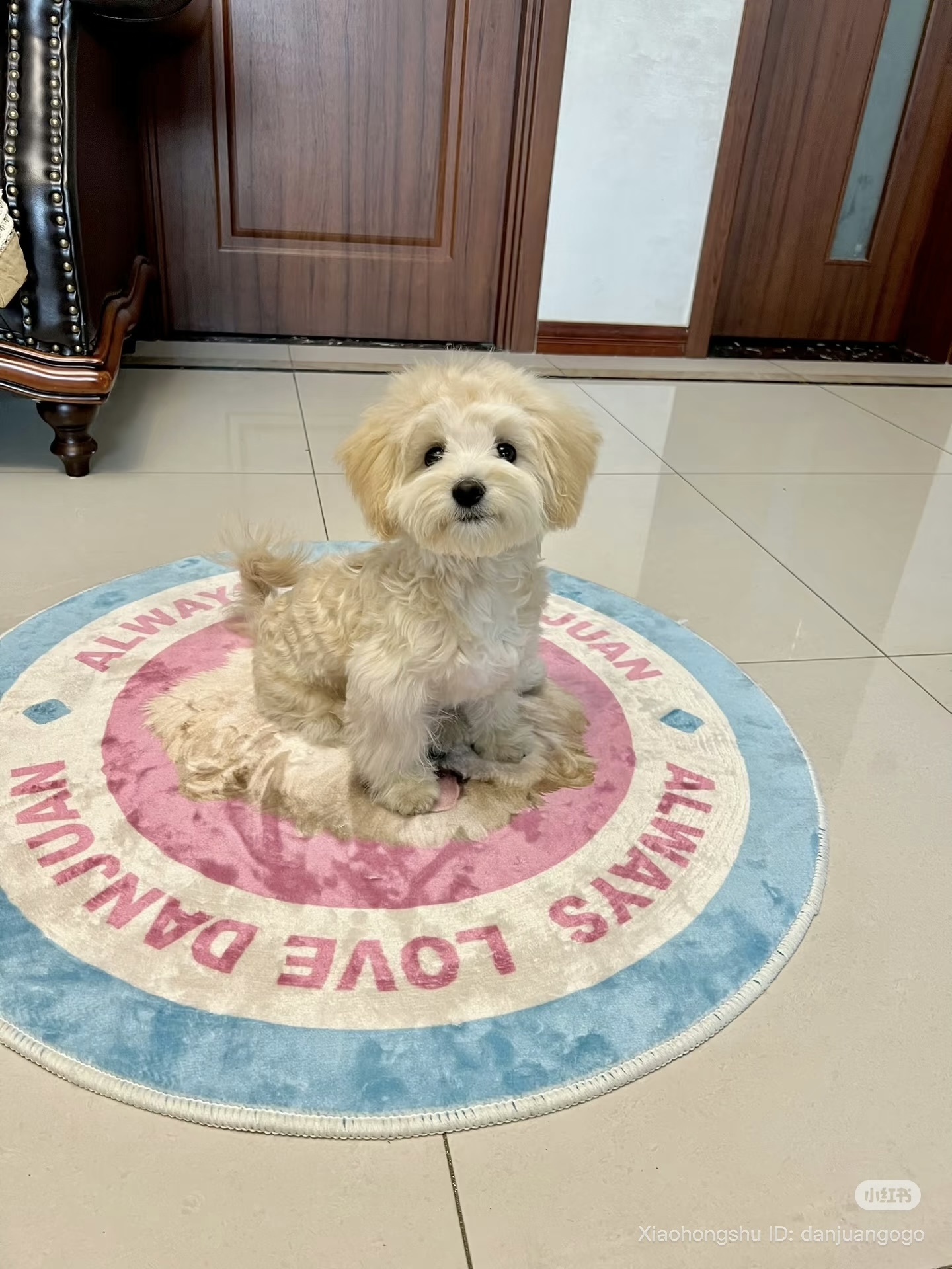 image_69551B97-5B3D-4D93-A740-0146A0113ED2_1755609469