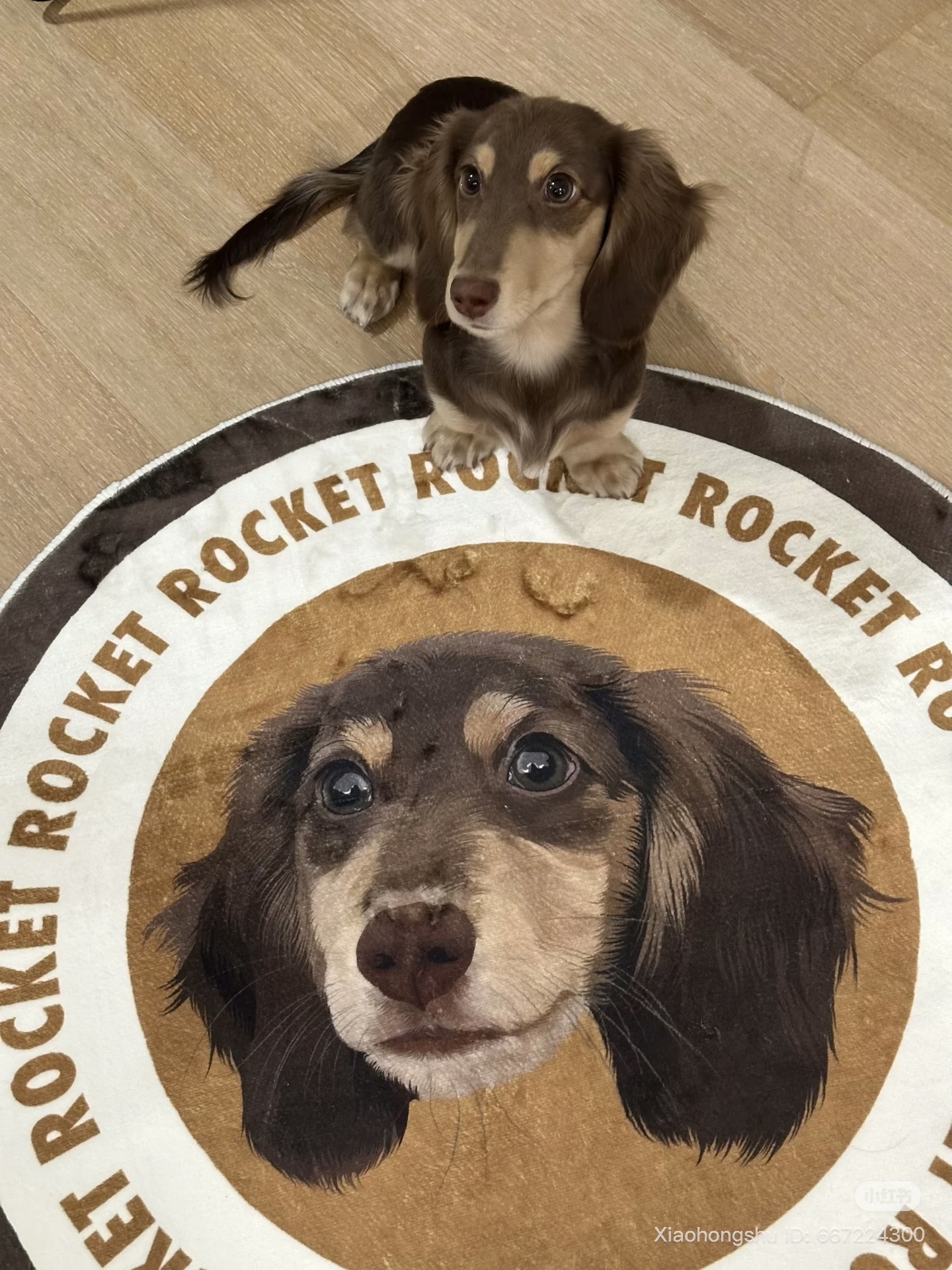 image_E81BEFFB-2BD1-4F3B-B01C-ACDA8448A125_1755609469