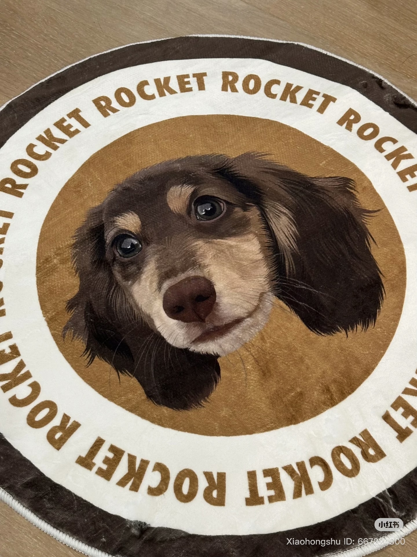 image_BE6F23E8-F040-41A7-83CB-B0CBB688991E_1755609469