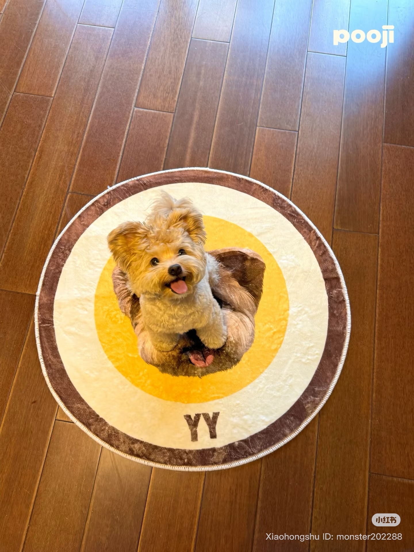 image_56F9E34B-FA90-4005-BDF4-A990749DEEC4_1755609469