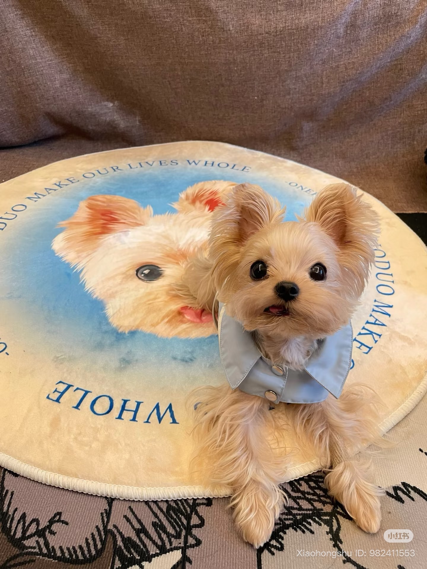 image_07D5B146-4A7D-4BEC-81A6-1A456CE03B2B_1755609469