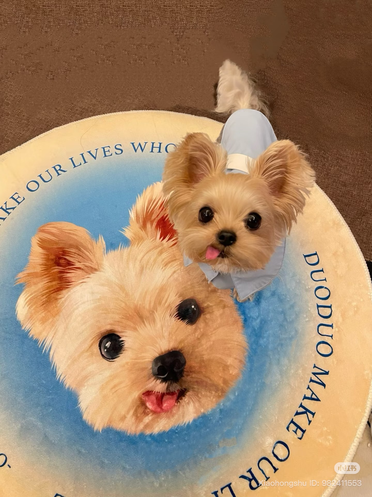 image_4073A27B-B810-43E3-911A-8DE3B8F31158_1755609469