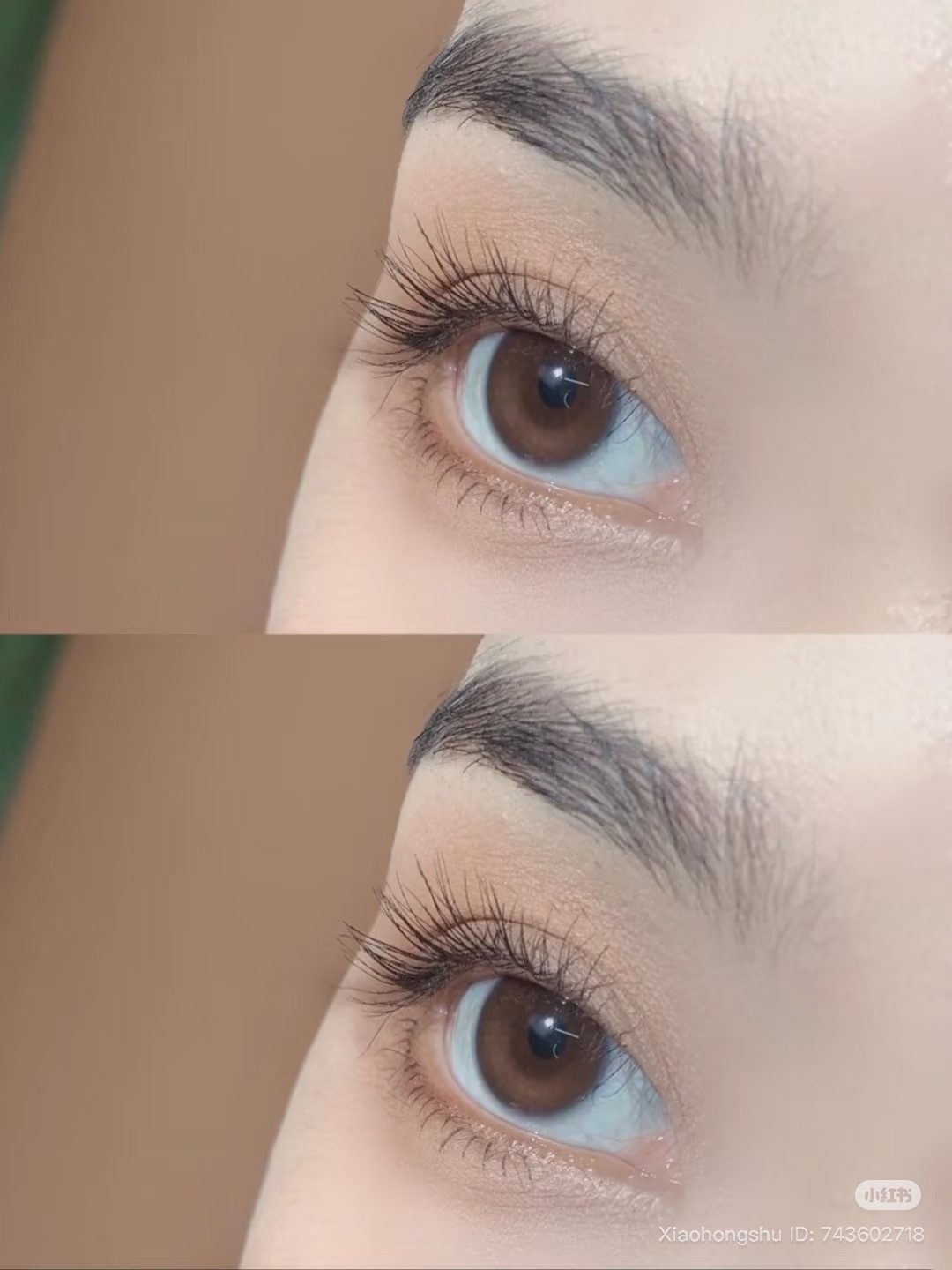 image_38D458B6-D536-4A02-8B9F-D8C6D968E2D7_1760433229