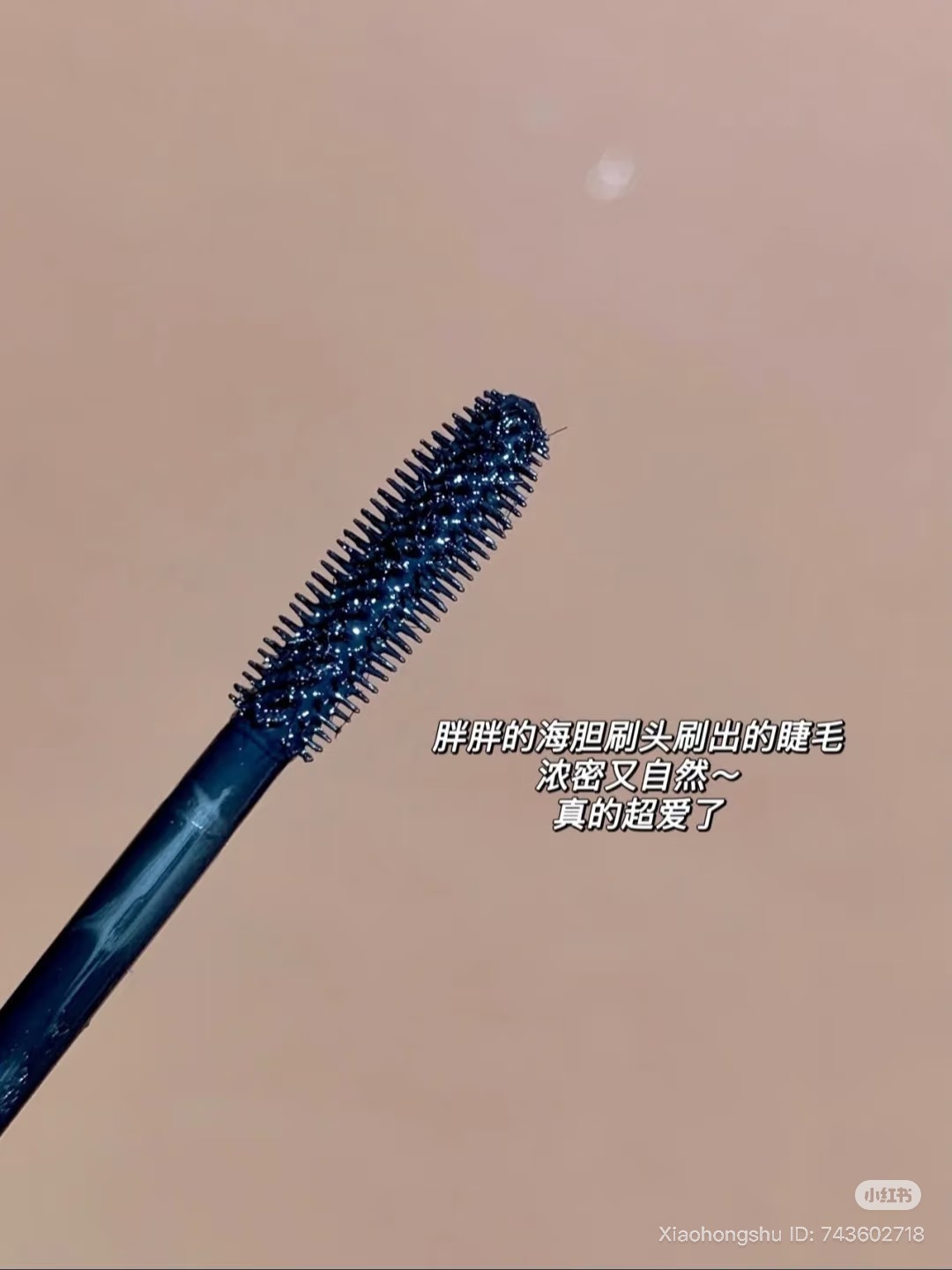 image_A78220FE-6EC2-489B-B428-BC5F4BED3533_1760433229