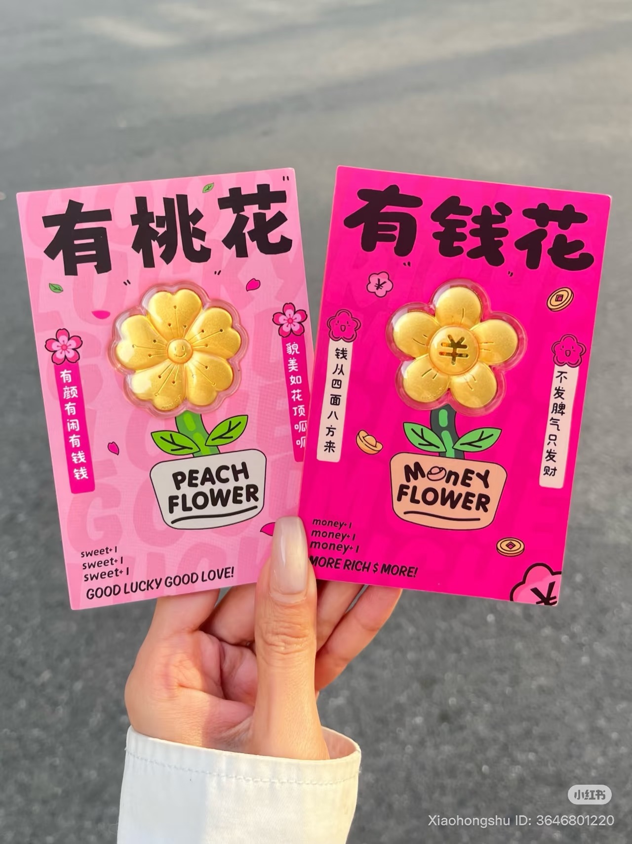 image_2F253D3A-5C78-44DA-B7FB-E81175ECEAEB_1760947380