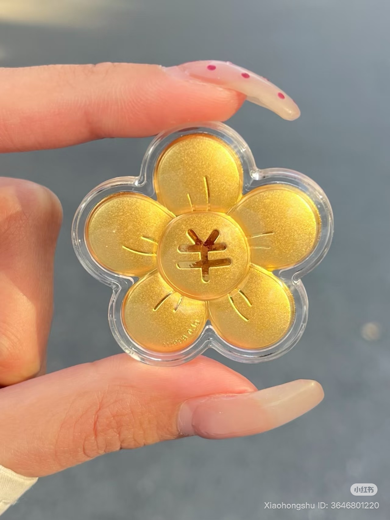 image_9FCE1B12-F25E-492C-A34F-A2F0BA54FF9B_1760947380