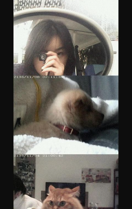 Screenshot 2024-06-02 224724 - Copy