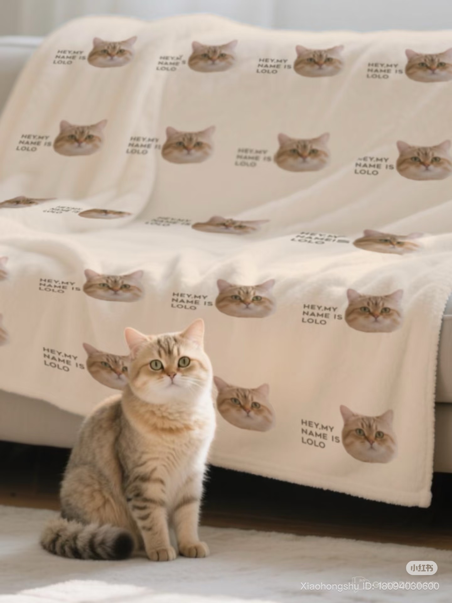 image_A9AB73AA-C55E-4969-8CD6-6CD2A2DF9B4B_1761222415