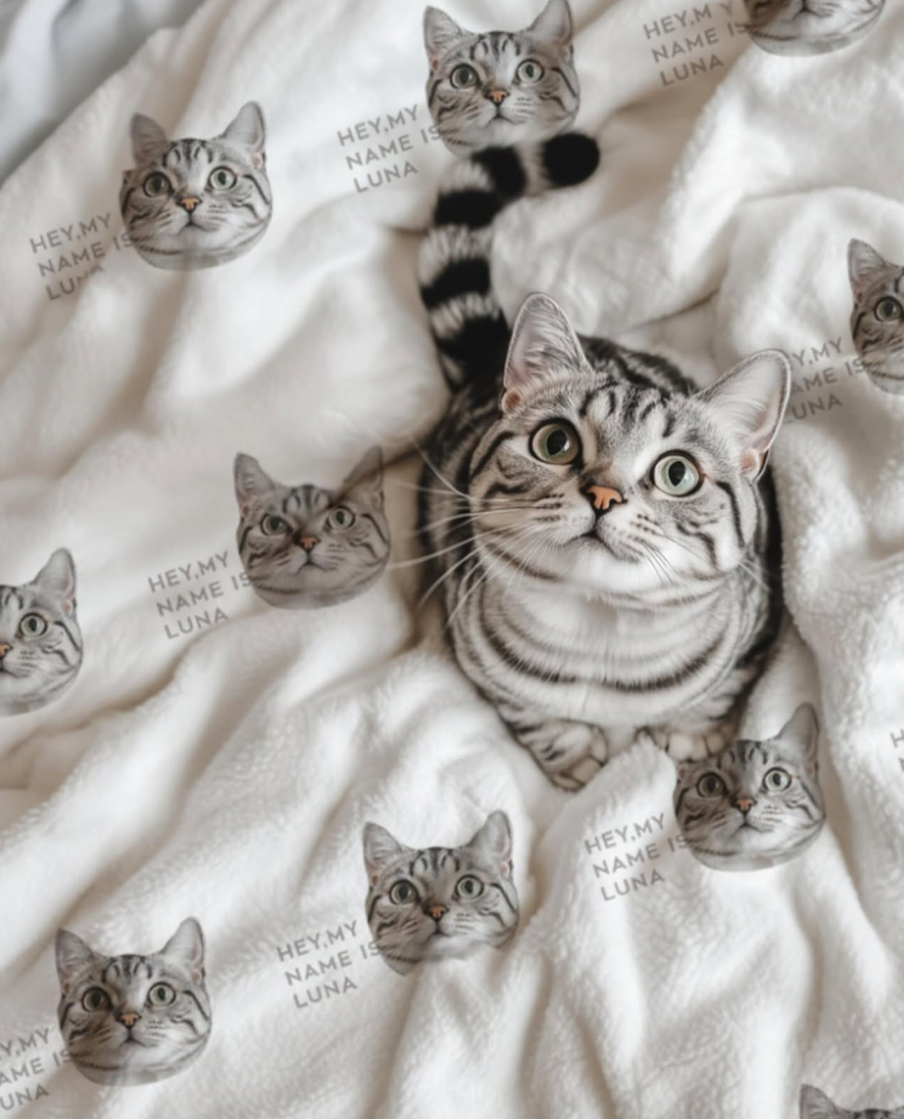 image_26D61578-CF48-421D-9CAE-3ADCDFC0404C_1761222415