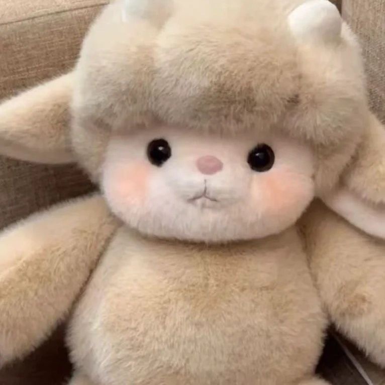 image_33FC3647-0B55-43C3-8D75-7E31329A6CF7_1761398748