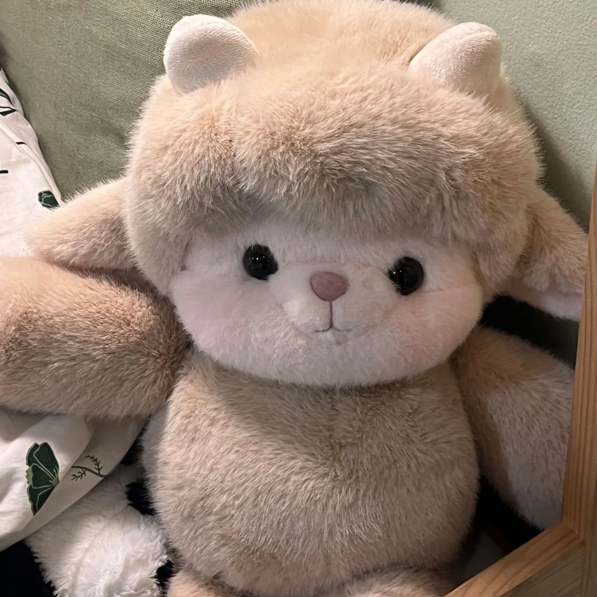 image_8BF0AA65-56F4-4ACB-9CDF-2945E349F883_1761398748