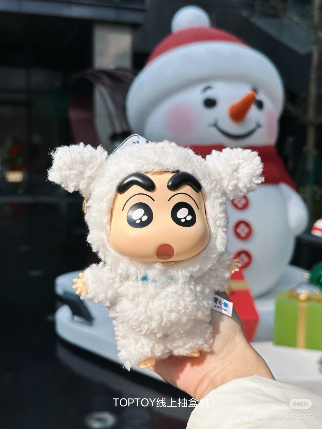 IMG_1228-1736083398615