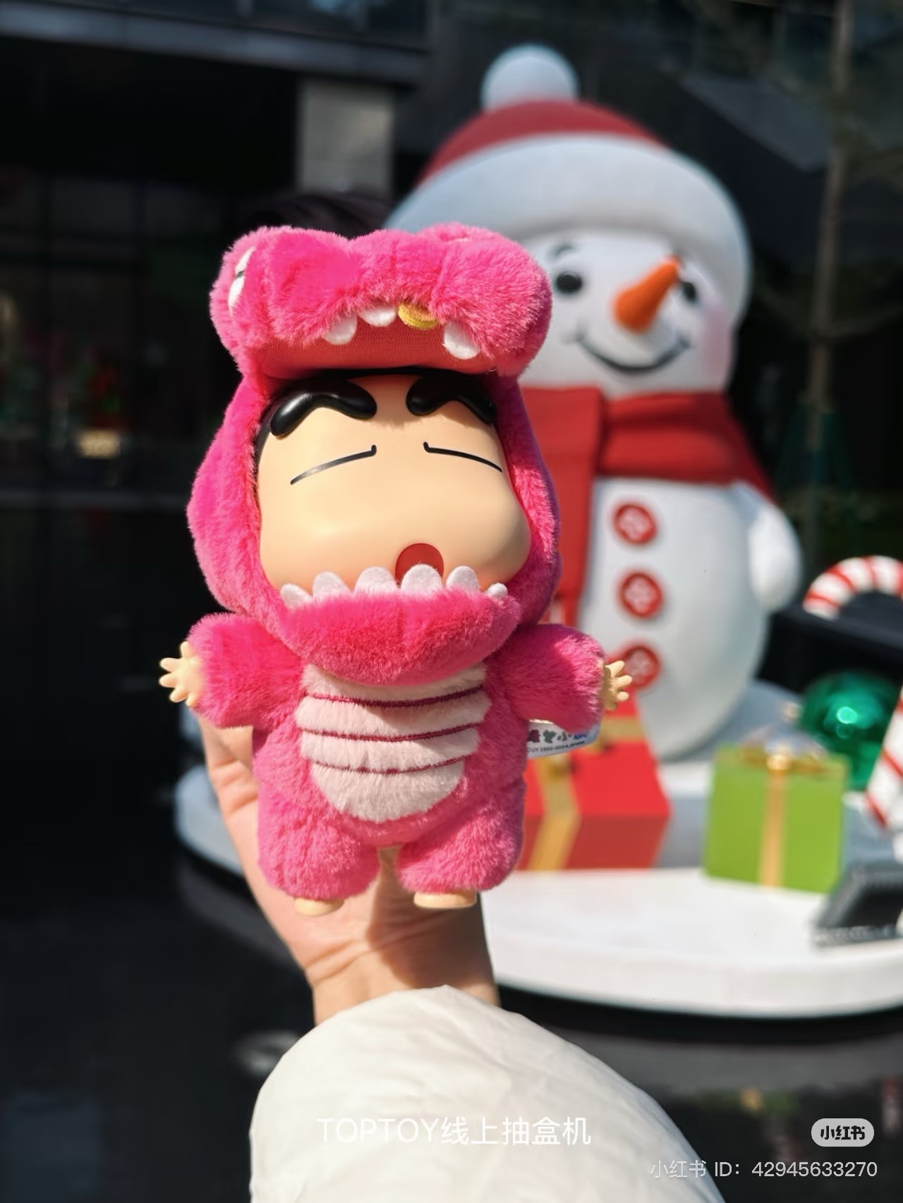 IMG_1231-1736083398588