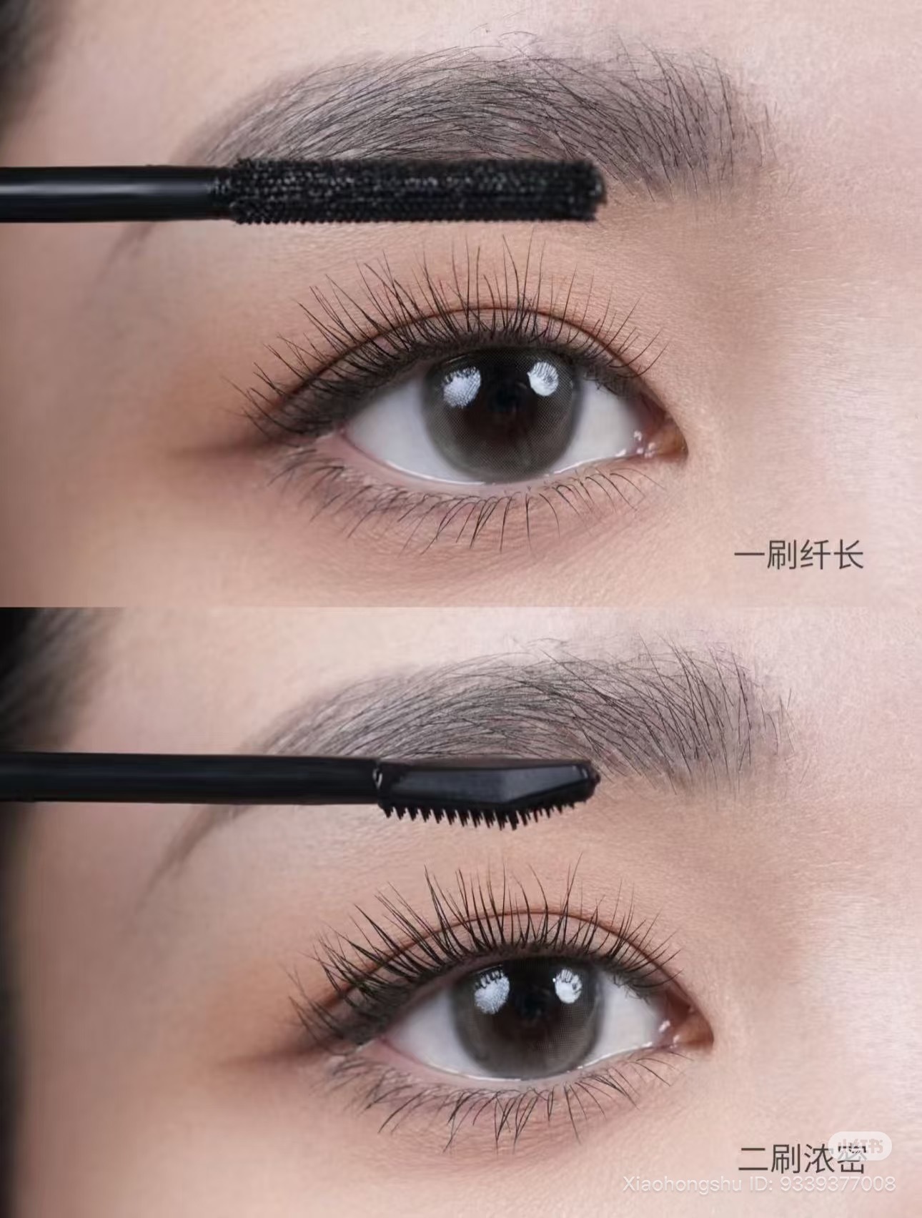 image_04C3375E-472B-4637-B1A2-B30ADA590FA7_1761828087