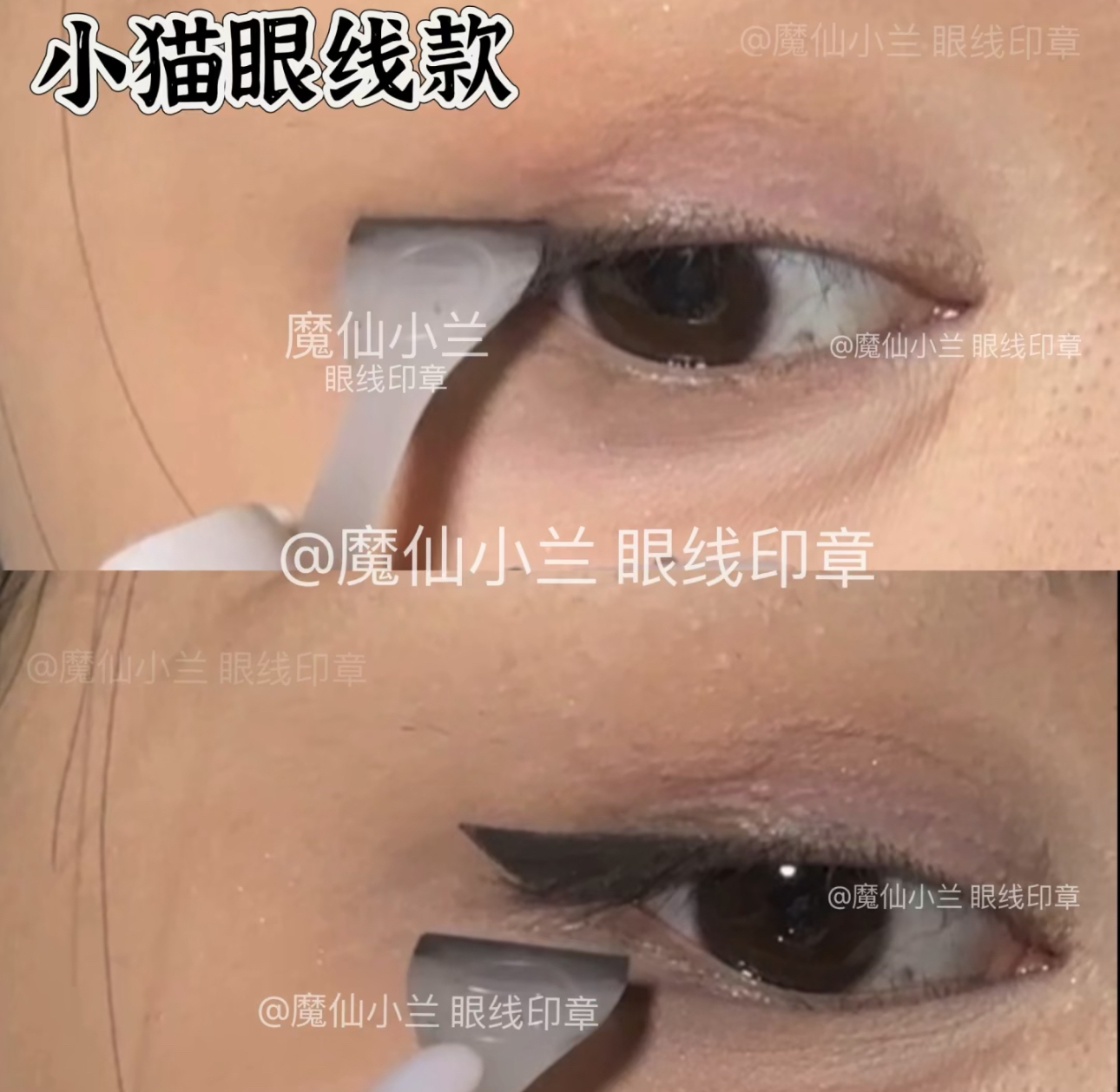 IMG_8431-1730637665334