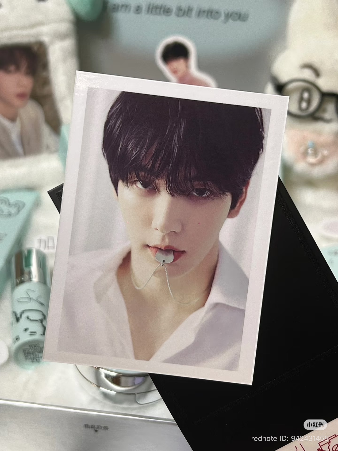 image_384892B4-6A31-45B9-BA8F-FDA2DA76F583_1762258424