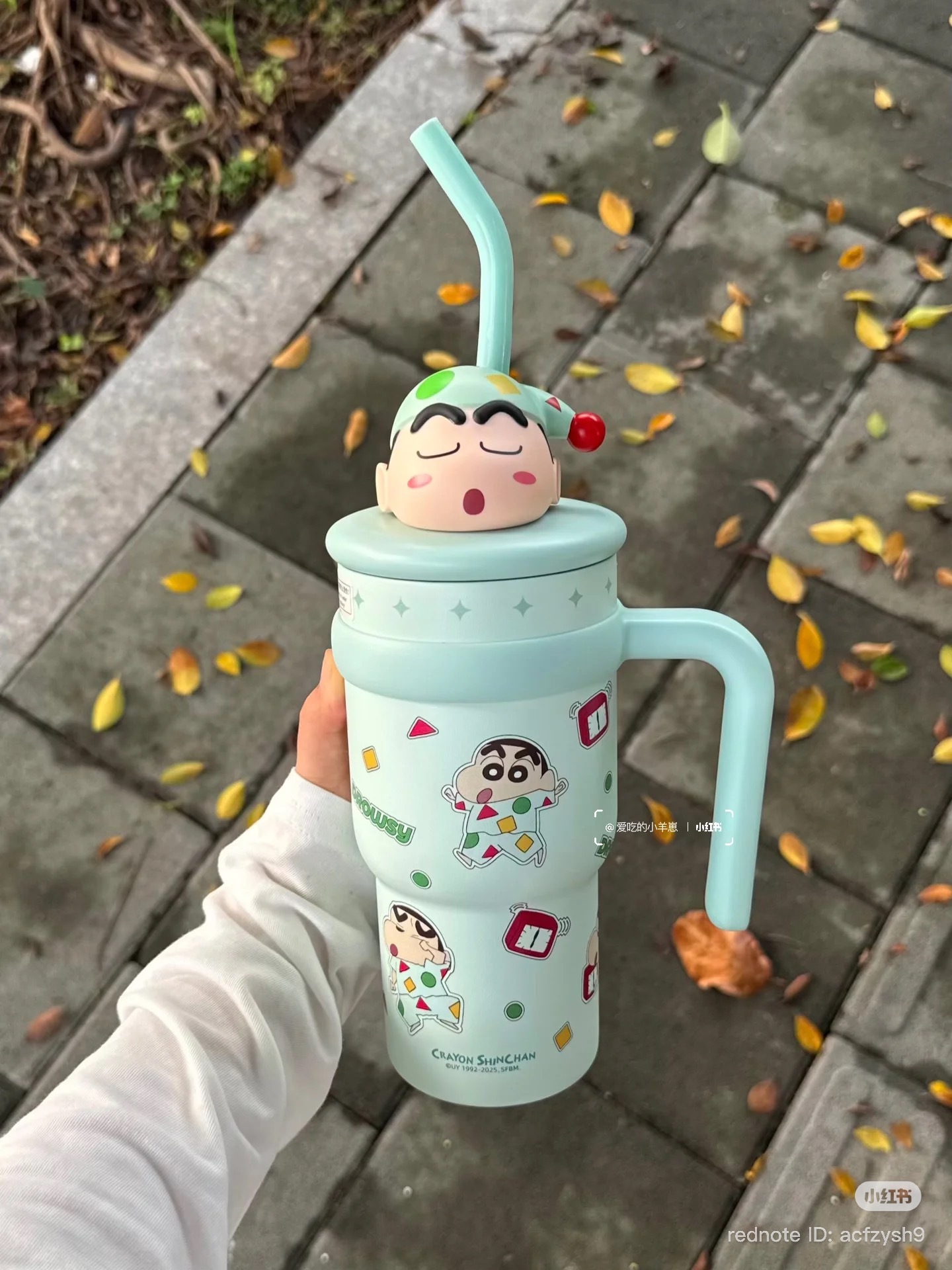 image_452246DB-88E5-4D2F-BC44-55C1487C2359_1762261437