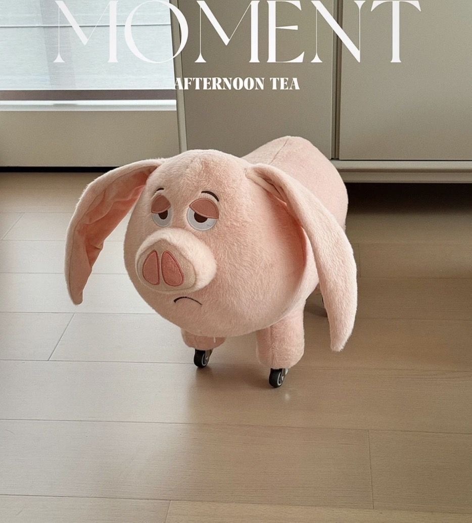 image_A1EE7340-3219-4C14-BC01-012046117135_1757139156