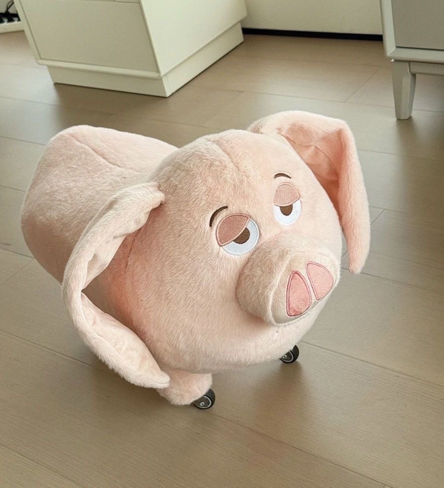 image_7CFBD0EE-058D-468B-AA29-3A7155A65043_1757139156