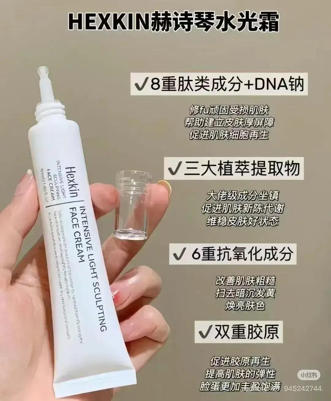 IMG_4558-1738671187535