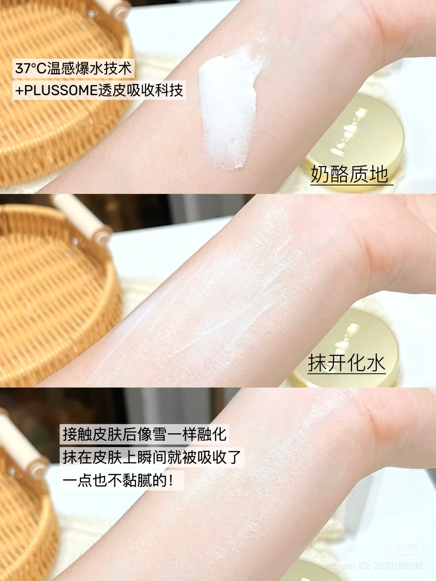 image_317F855F-A9CB-4D2F-B7EE-9E152BEC7962_1762681627