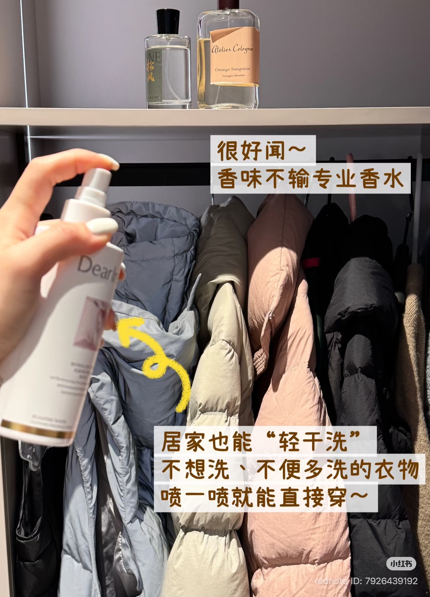 image_50D31285-782A-4AFD-BA8E-9A9DC011138B_1762685786