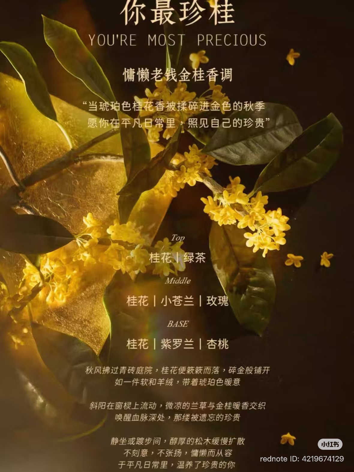 image_02A47437-1078-494E-95D2-9A73CBEE6252_1762685786