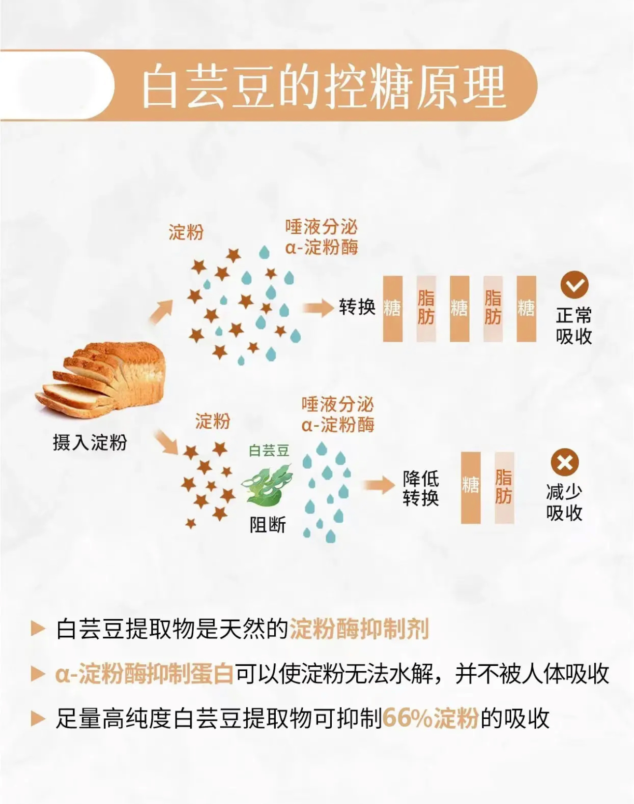 IMG_0757-1727600510836